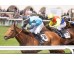  Carrera: P.Luis Manso Monta: A.Serrano Caballo: Araka la Kana